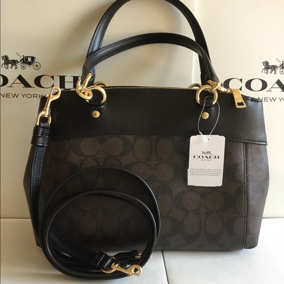 🌷Coach Signature Mini Brooke Carryall - Picture 7 of 8